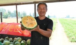 娱乐吃瓜基地的作品,独家爆料，明星幕后故事大公开