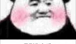 吃瓜表情包怎么回复女孩子