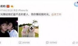 娱乐吃瓜酱遗憾,揭秘娱乐圈背后的心酸故事